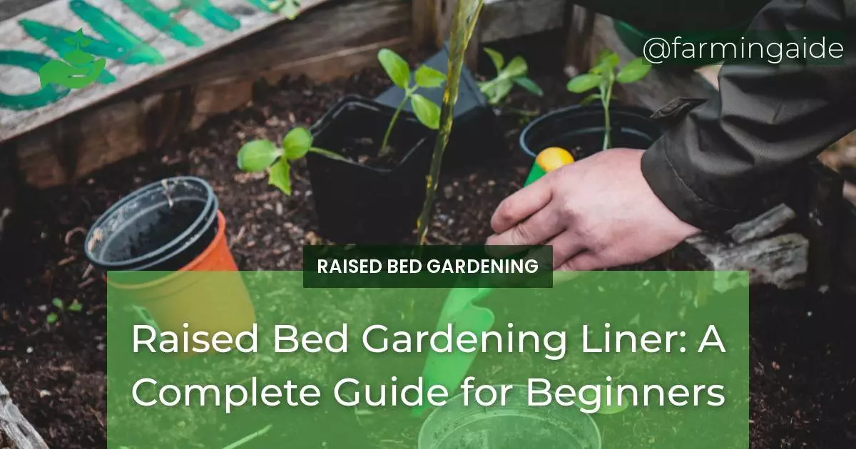 Raised Bed Gardening Liner: A Complete Guide for Beginners
