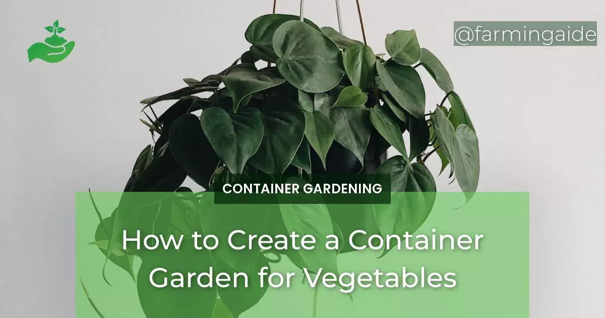 How to Create a Container Garden for Vegetables