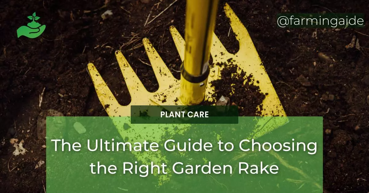 The Ultimate Guide to Choosing the Right Garden Rake