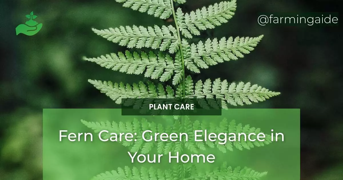 Fern Care: Green Elegance in Your Home