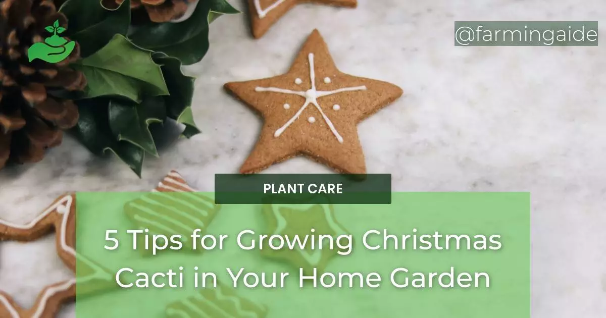 5 Tips for Growing Christmas Cacti in Your Home Garden