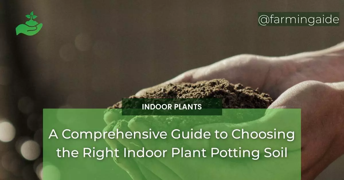 A Comprehensive Guide to Choosing the Right Indoor Plant Potting Soil