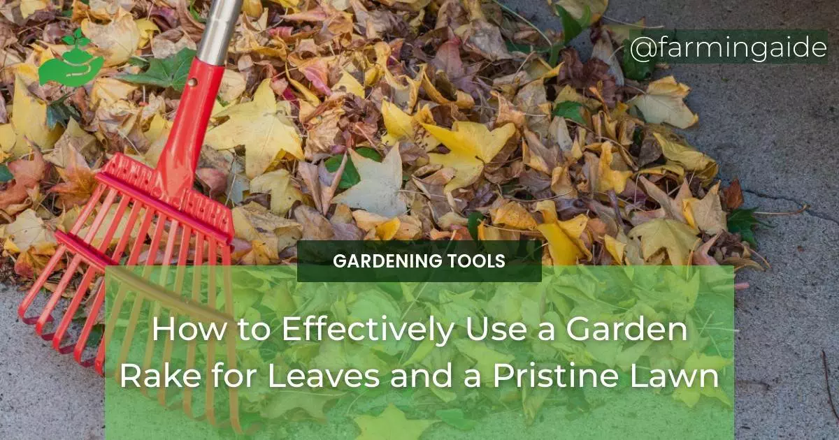 How to Effectively Use a Garden Rake for Leaves and a Pristine Lawn