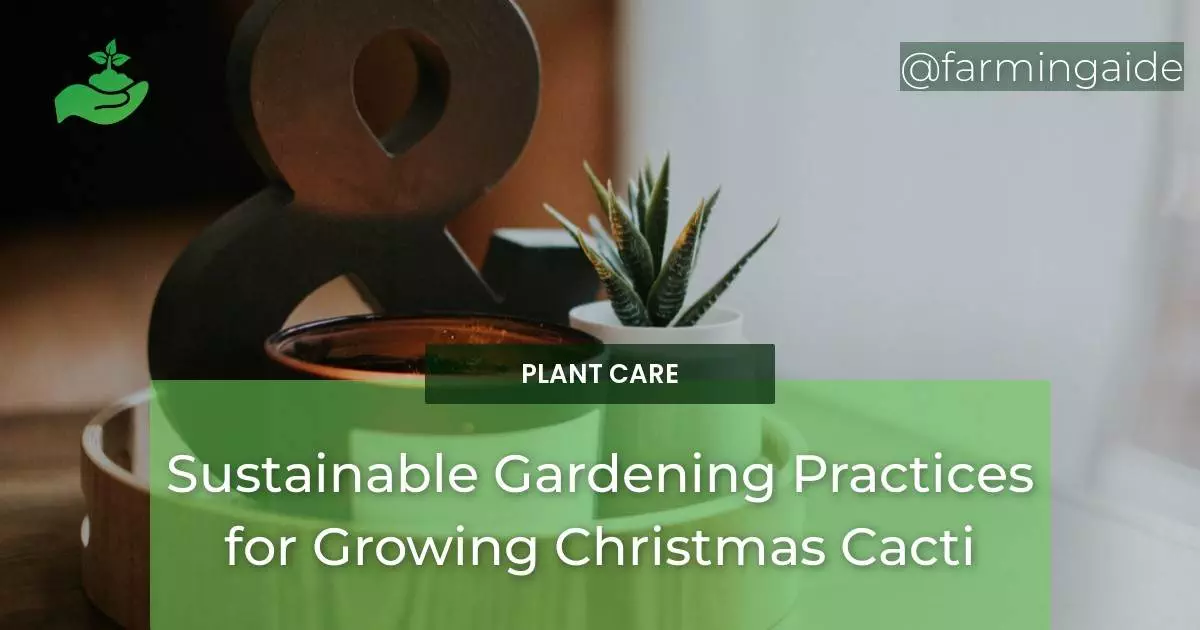 Sustainable Gardening Practices for Growing Christmas Cacti