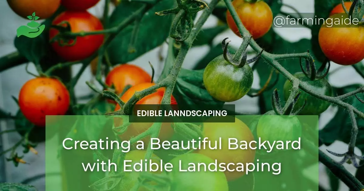 Creating a Beautiful Backyard with Edible Landscaping
