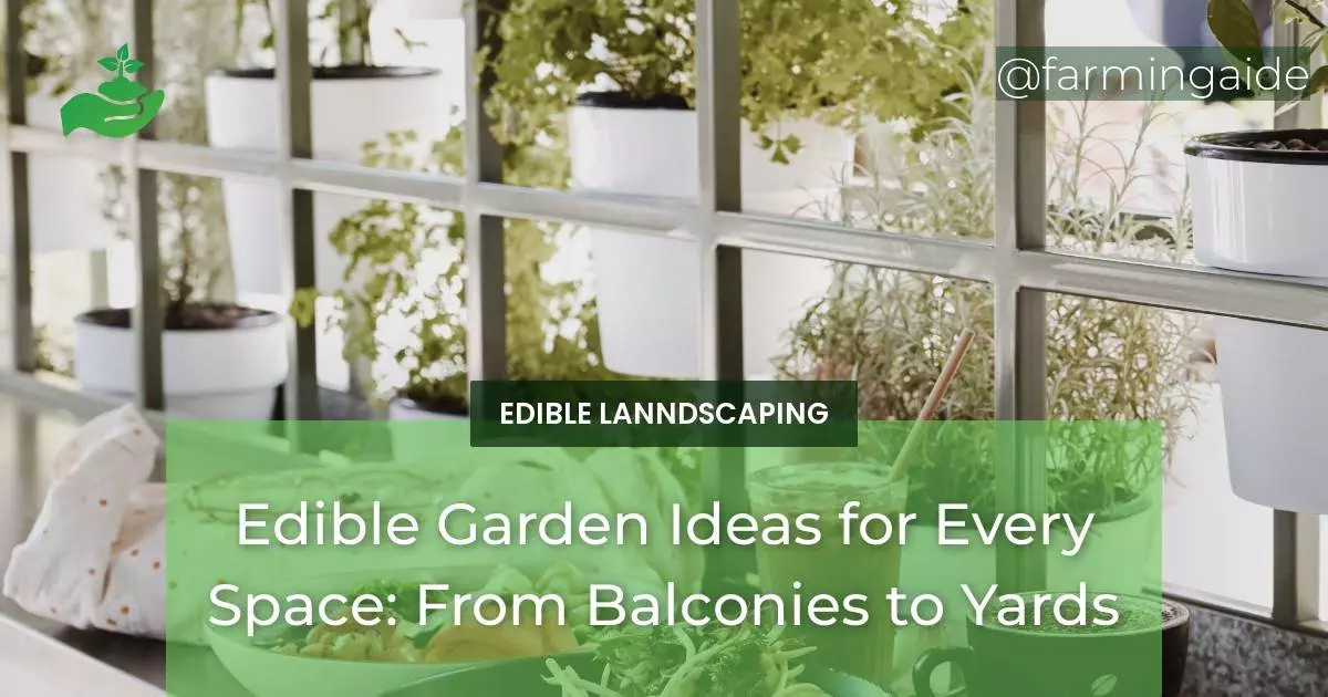 Edible Garden Ideas for Every Space: From Balconies to Yards