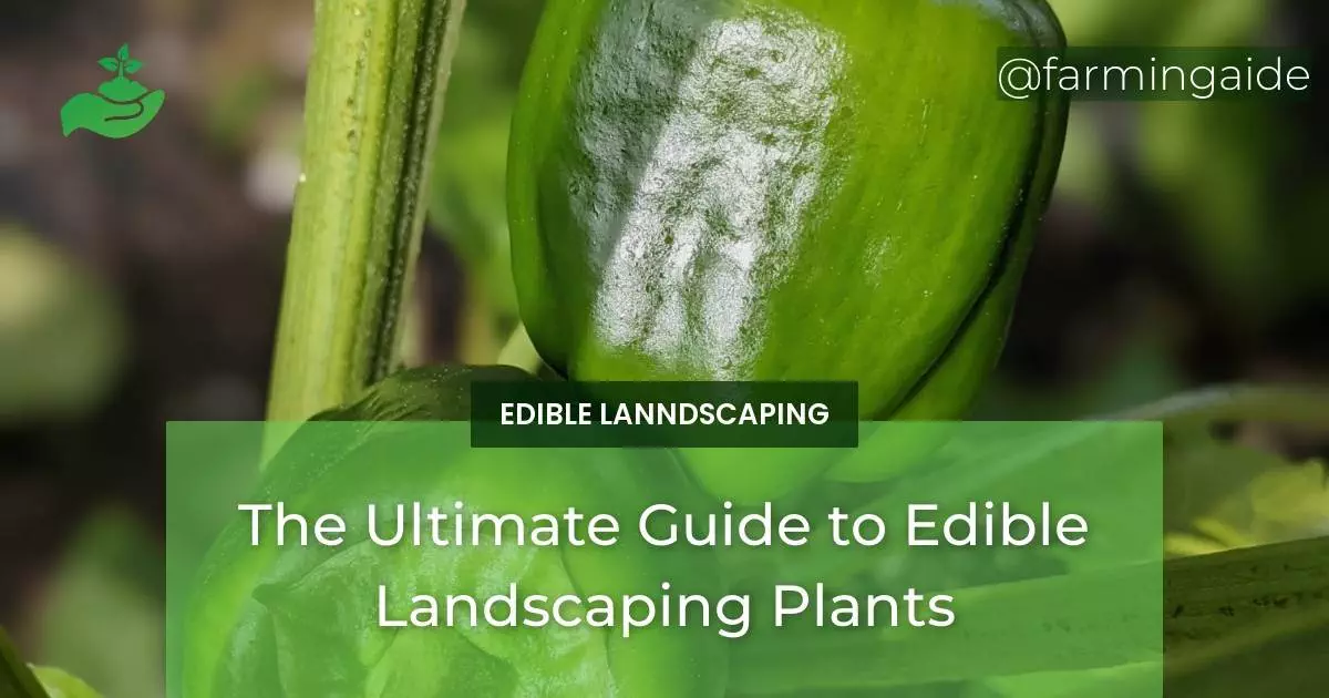 The Ultimate Guide to Edible Landscaping Plants