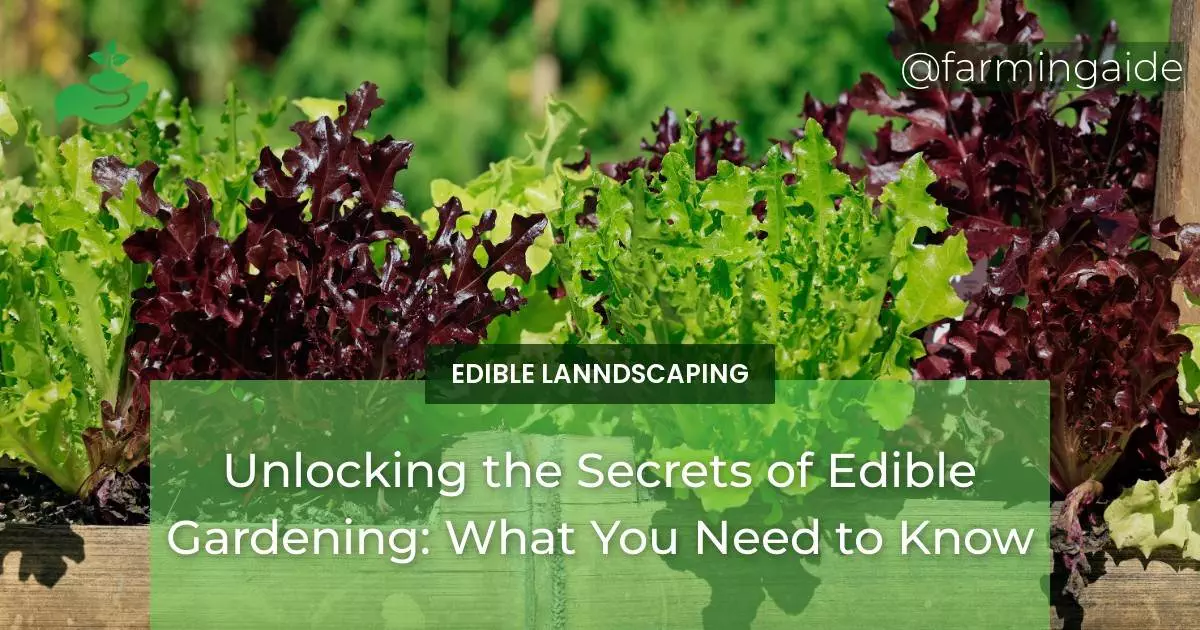 Unlocking the Secrets of Edible Gardening: What You Need to Know