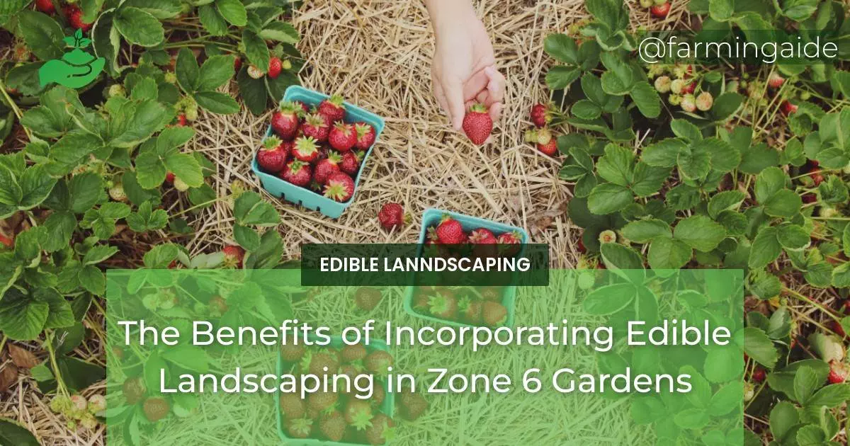 The Benefits of Incorporating Edible Landscaping in Zone 6 Gardens