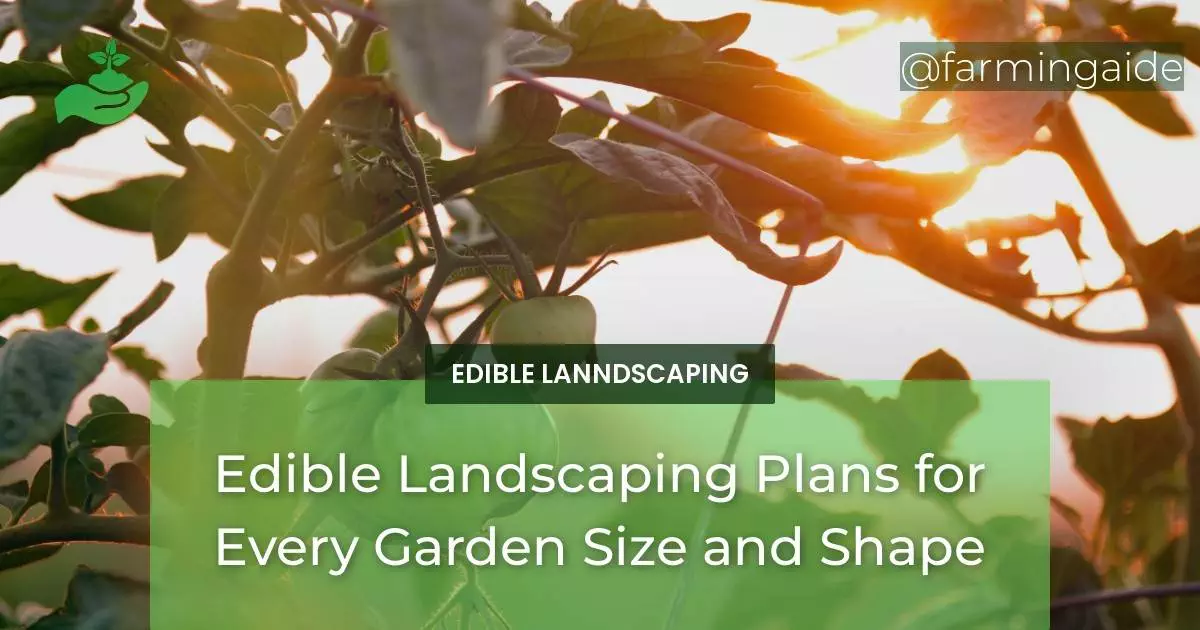 Edible Landscaping Plans for Every Garden Size and Shape