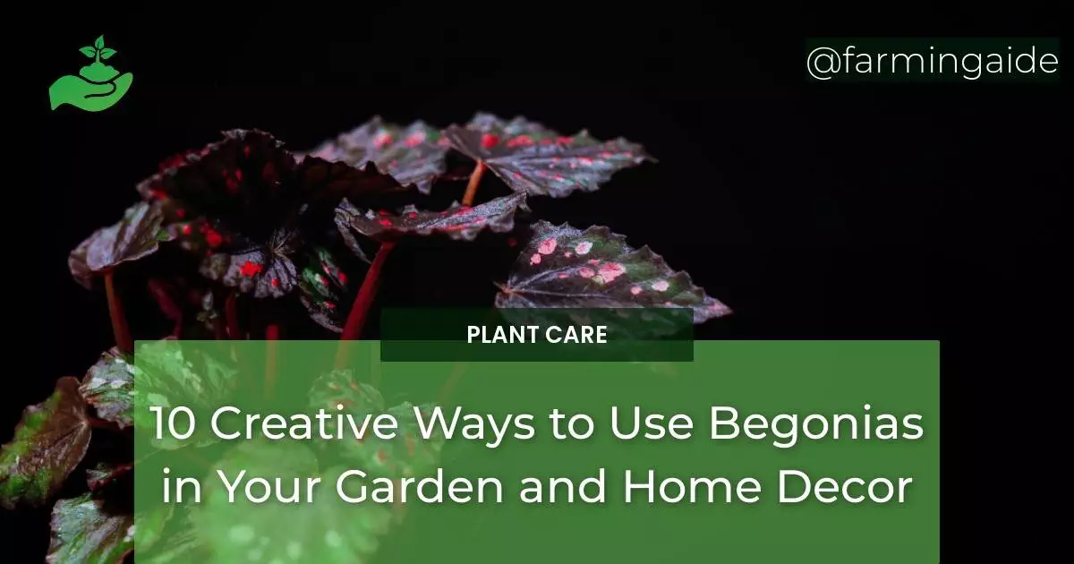 10 Creative Ways to Use Begonias in Your Garden and Home Decor
