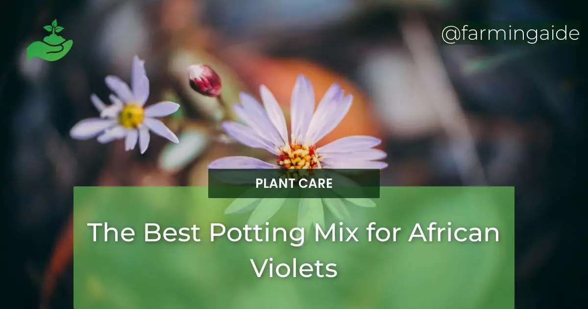 The Best Potting Mix for African Violets