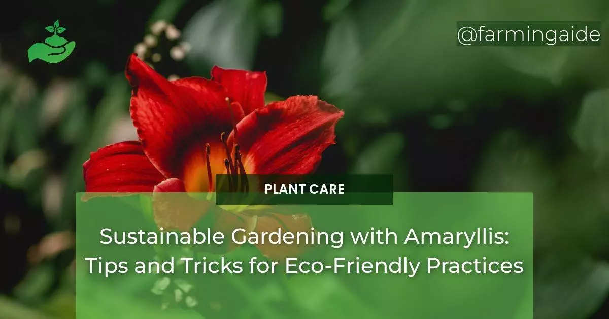 Sustainable Gardening with Amaryllis: Tips and Tricks for Eco-Friendly Practices