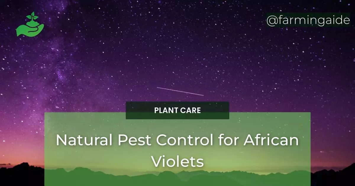 Natural Pest Control for African Violets