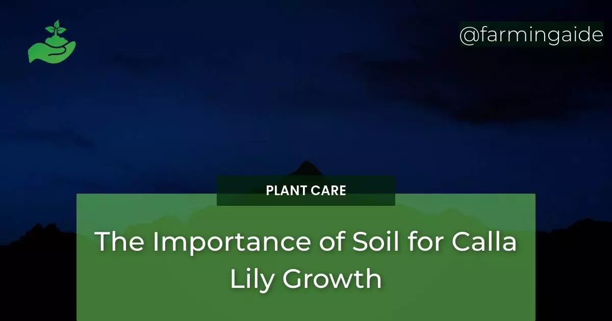 The Importance of Soil for Calla Lily Growth