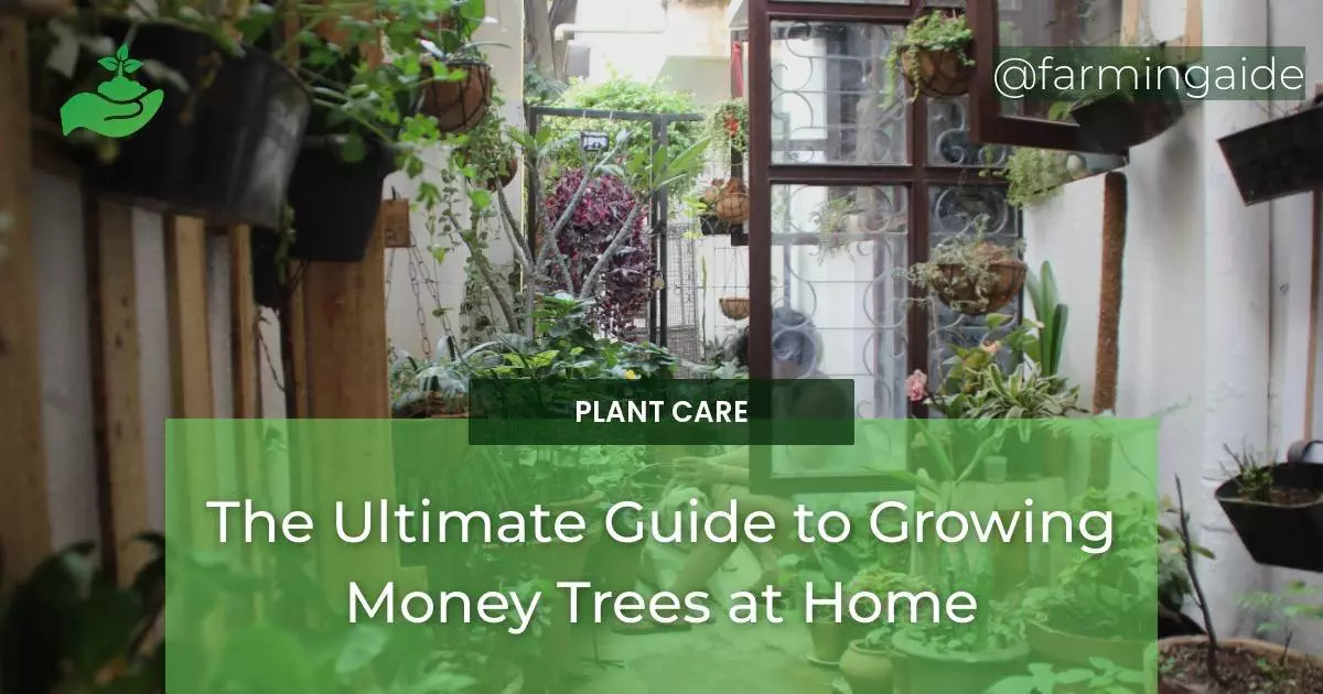 The Ultimate Guide to Growing Money Trees at Home