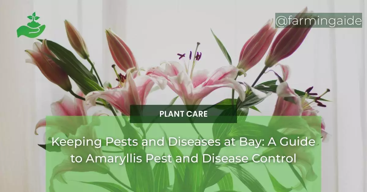 Keeping Pests and Diseases at Bay: A Guide to Amaryllis Pest and Disease Control