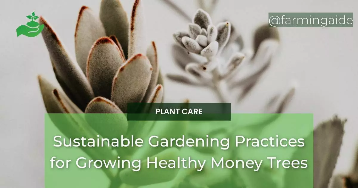 Sustainable Gardening Practices for Growing Healthy Money Trees