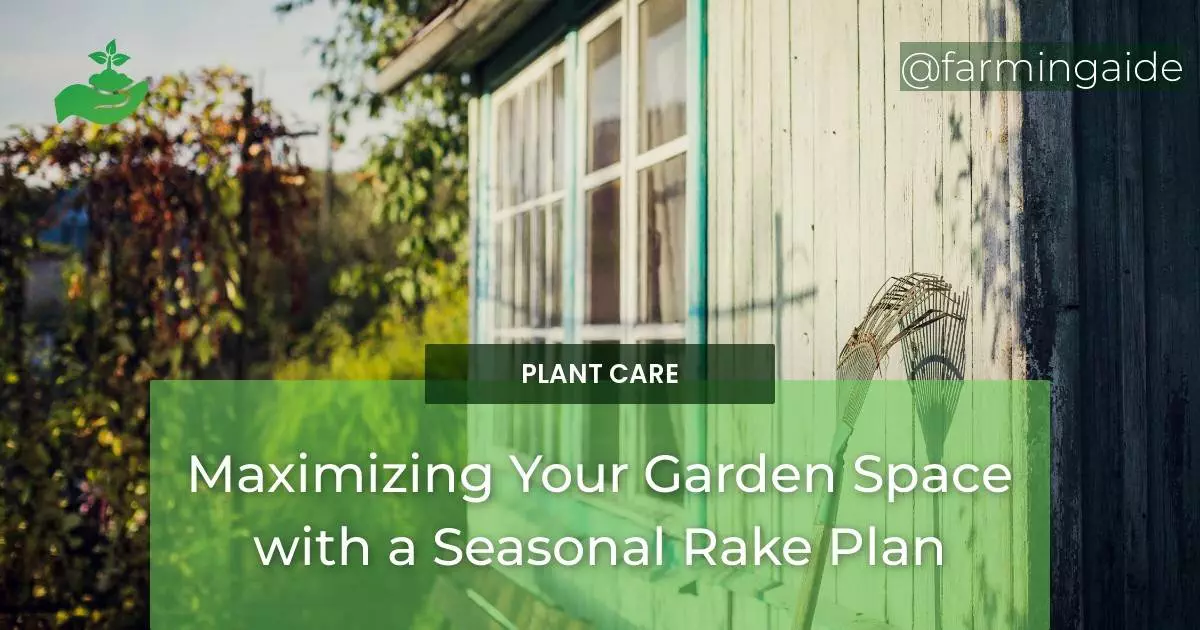 Maximizing Your Garden Space with a Seasonal Rake Plan