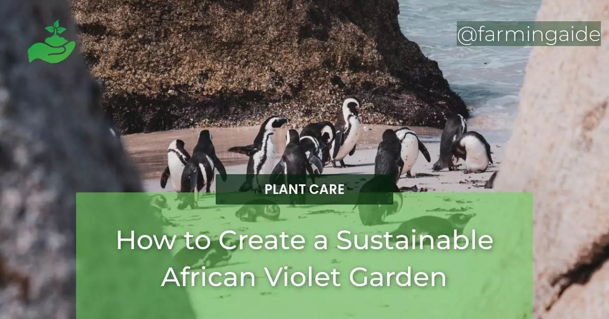 How to Create a Sustainable African Violet Garden