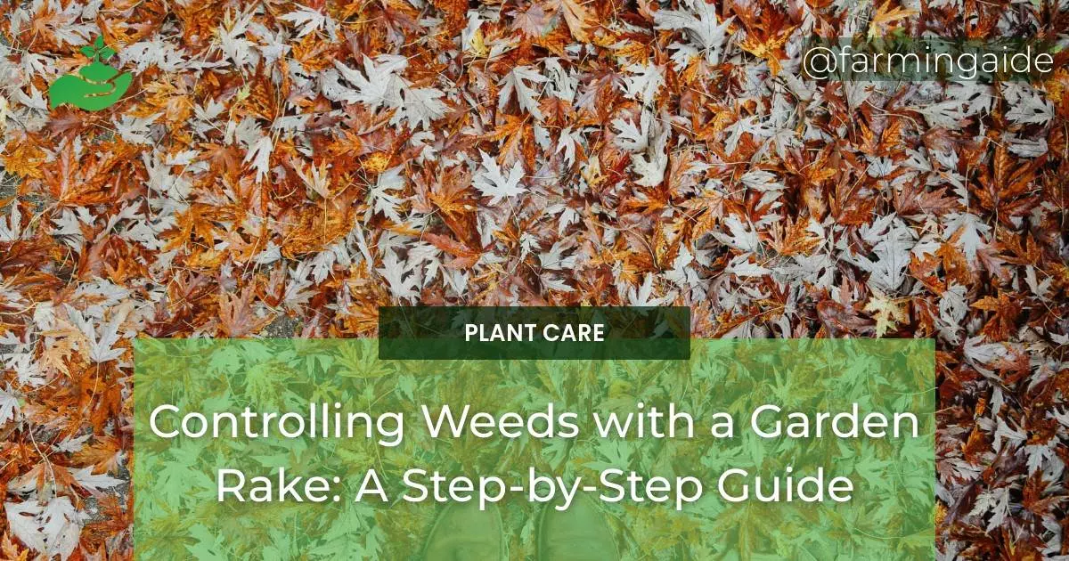 Controlling Weeds with a Garden Rake: A Step-by-Step Guide