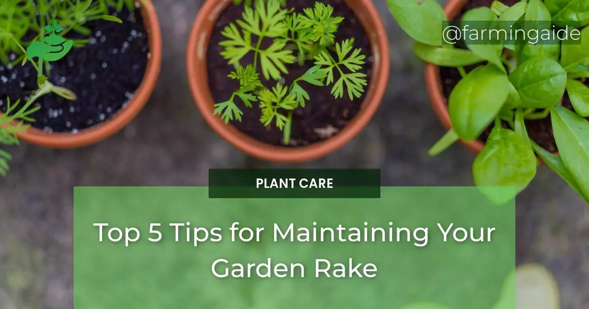 Top 5 Tips for Maintaining Your Garden Rake