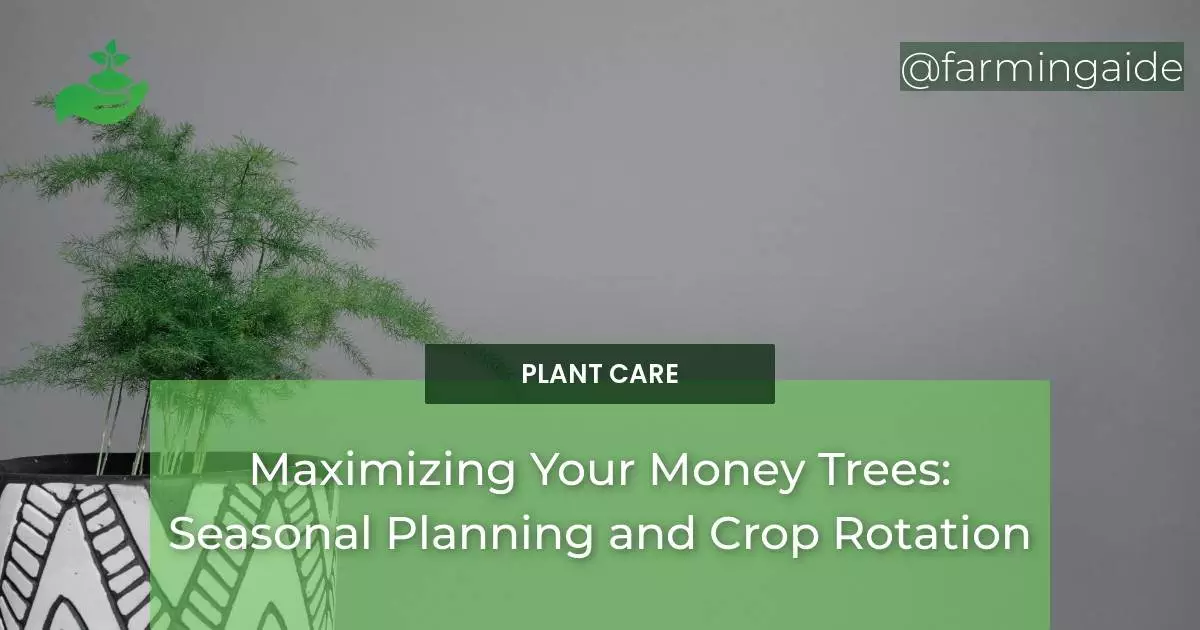 Maximizing Your Money Trees: Seasonal Planning and Crop Rotation