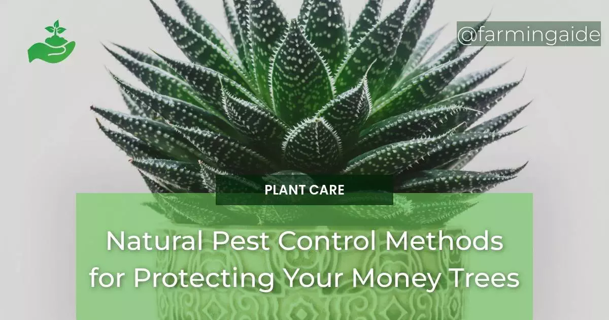 Natural Pest Control Methods for Protecting Your Money Trees