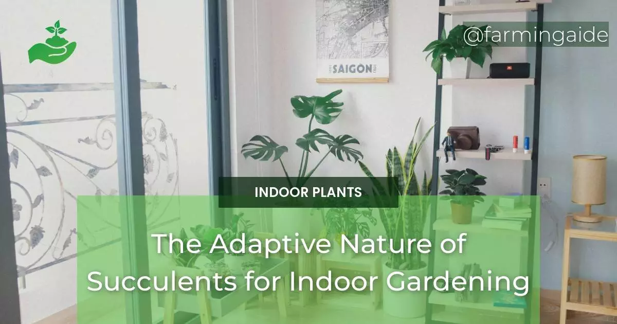 The Adaptive Nature of Succulents for Indoor Gardening