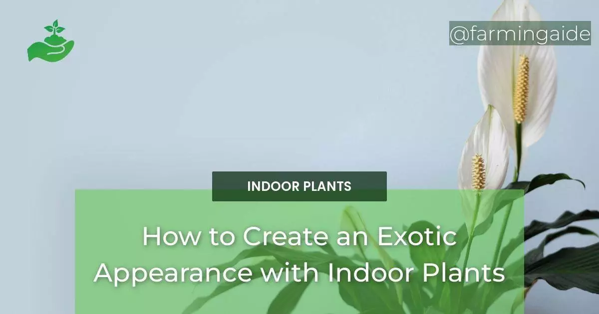 How to Create an Exotic Appearance with Indoor Plants