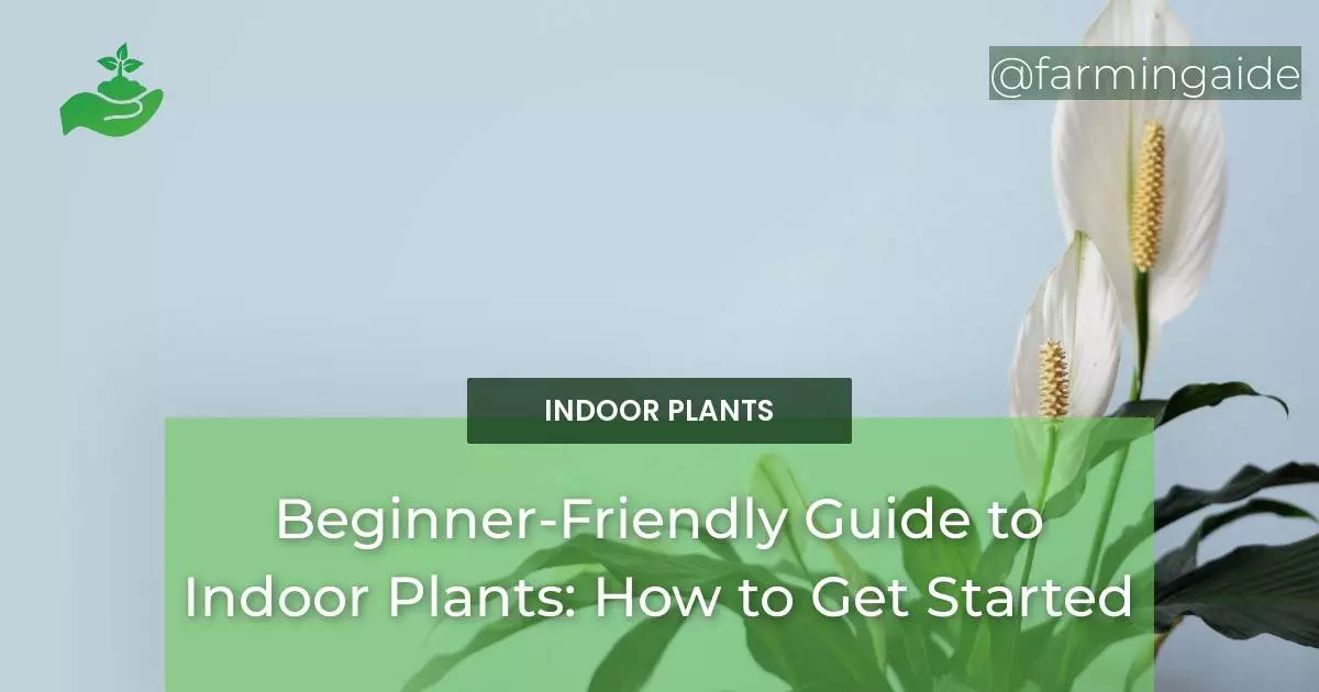 Beginner-Friendly Guide to Indoor Plants: How to Get Started