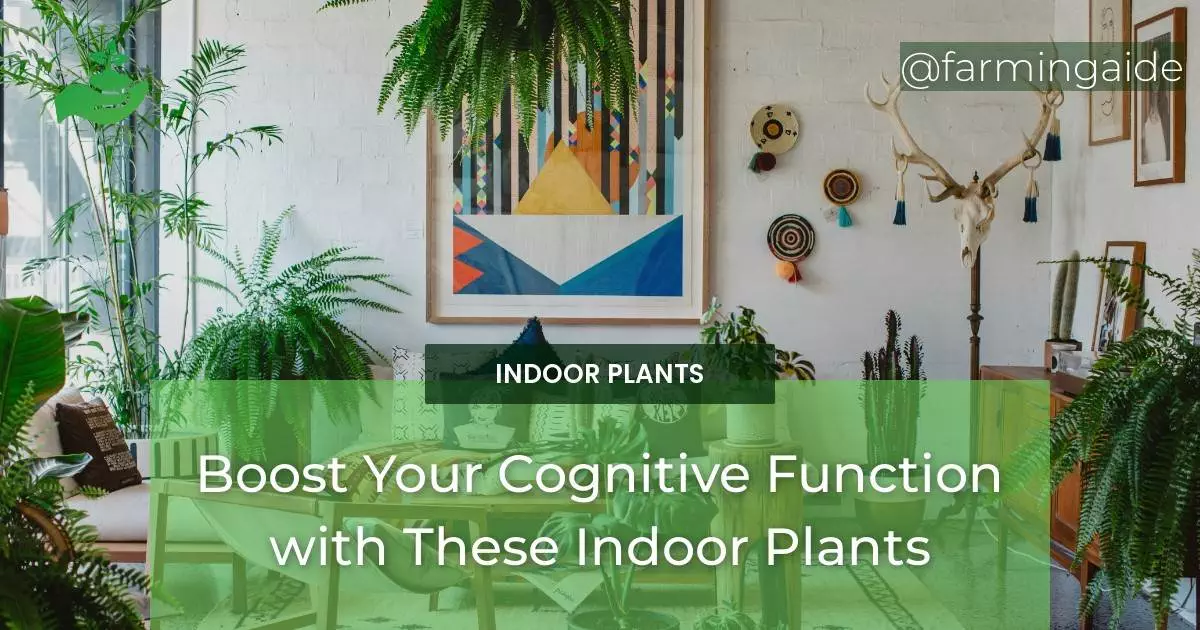Boost Your Cognitive Function with These Indoor Plants