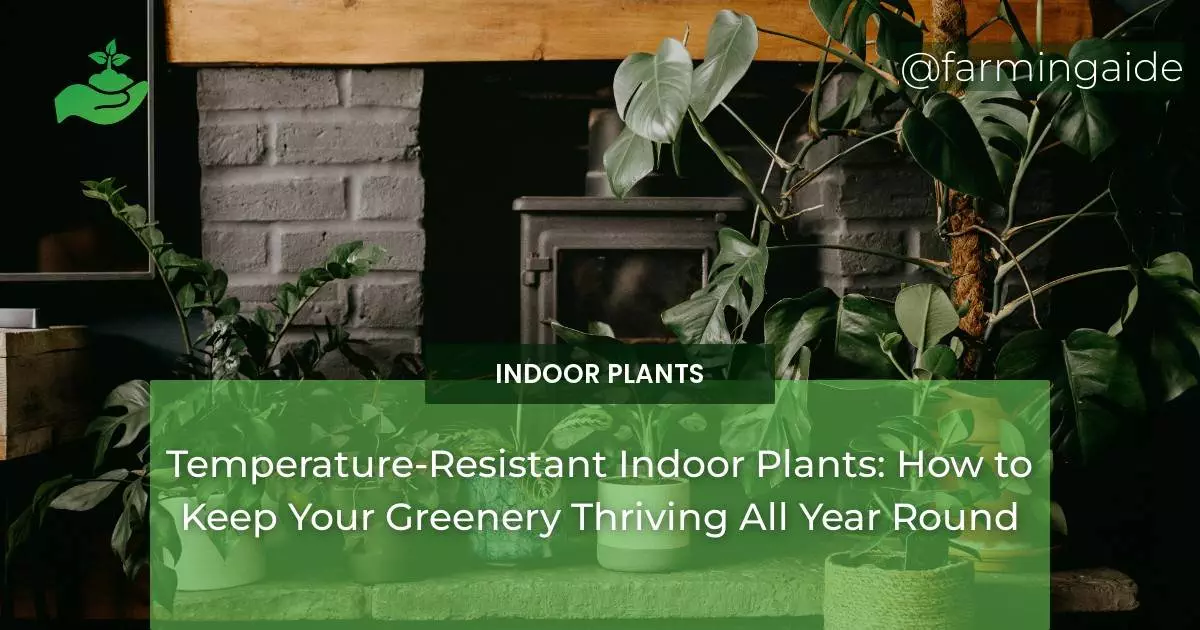 Temperature-Resistant Indoor Plants: How to Keep Your Greenery Thriving All Year Round