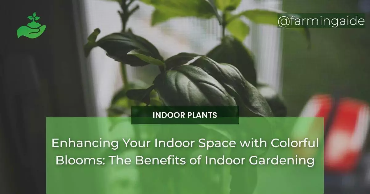 Enhancing Your Indoor Space with Colorful Blooms: The Benefits of Indoor Gardening