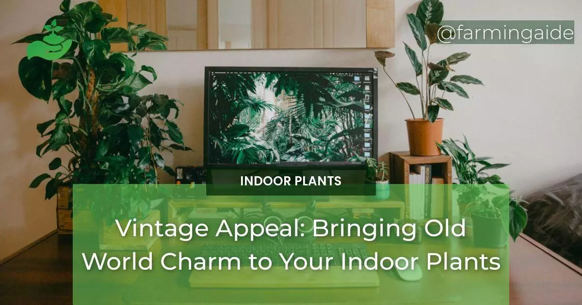 Vintage Appeal: Bringing Old World Charm to Your Indoor Plants