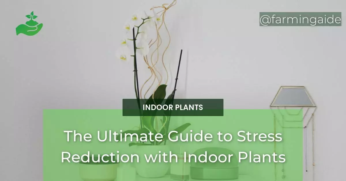 The Ultimate Guide to Stress Reduction with Indoor Plants