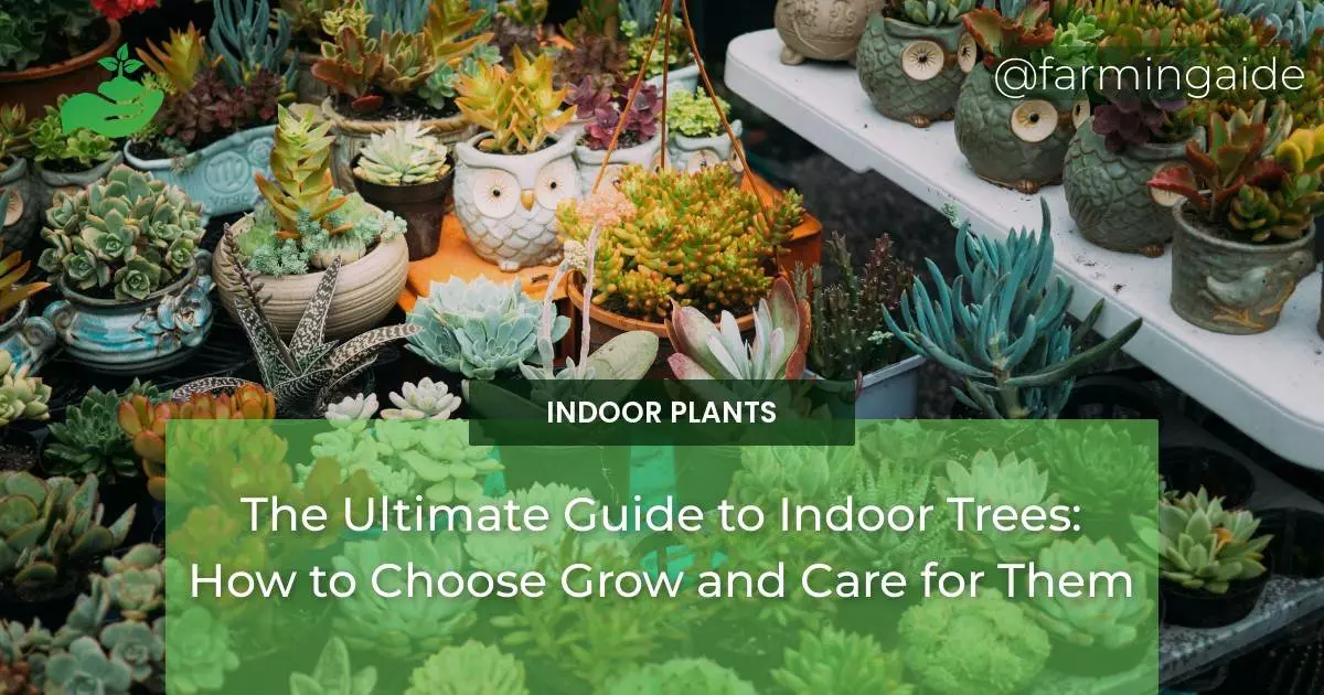 The Ultimate Guide to Indoor Trees: How to Choose Grow and Care for Them