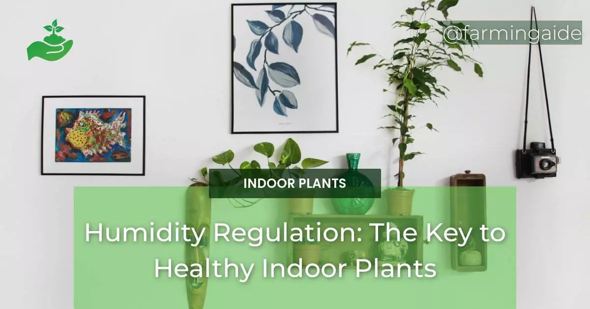 Humidity Regulation: The Key to Healthy Indoor Plants