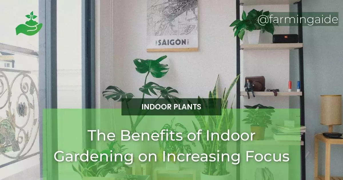 The Benefits of Indoor Gardening on Increasing Focus