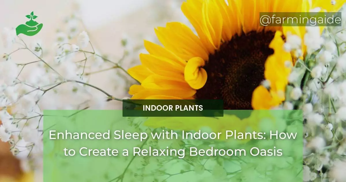 Enhanced Sleep with Indoor Plants: How to Create a Relaxing Bedroom Oasis