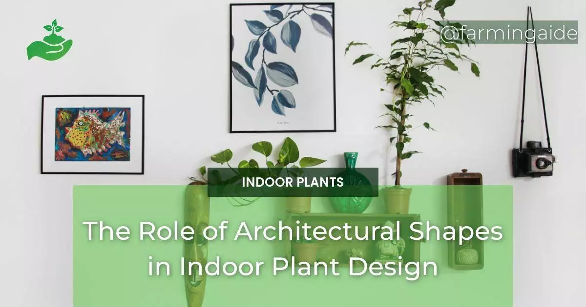 The Role of Architectural Shapes in Indoor Plant Design