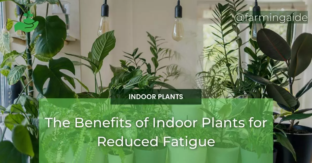 The Benefits of Indoor Plants for Reduced Fatigue