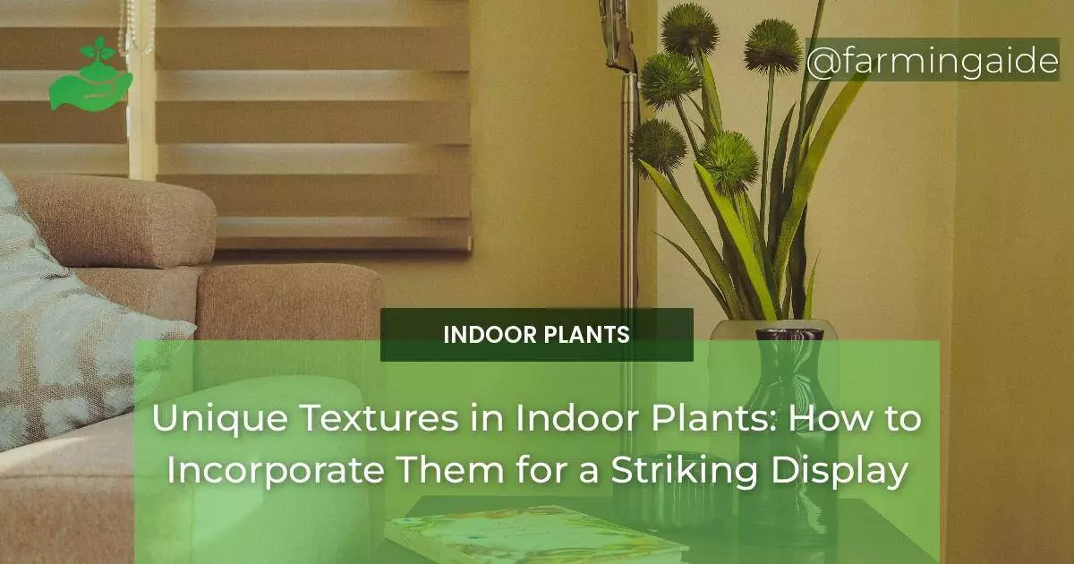 Unique Textures in Indoor Plants: How to Incorporate Them for a Striking Display