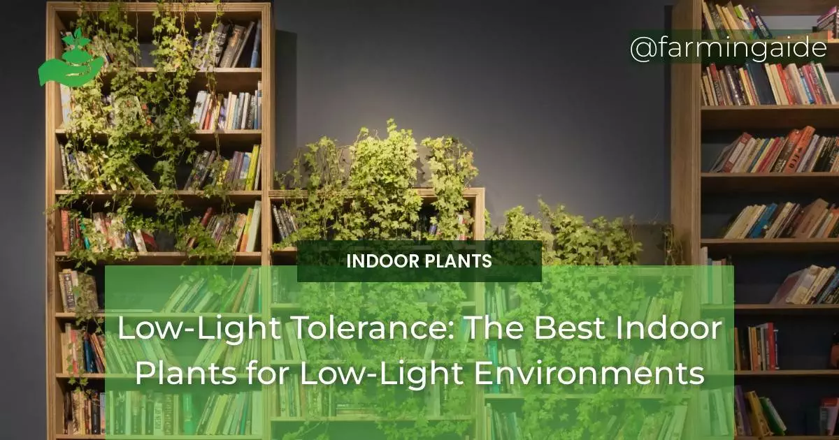 Low-Light Tolerance: The Best Indoor Plants for Low-Light Environments