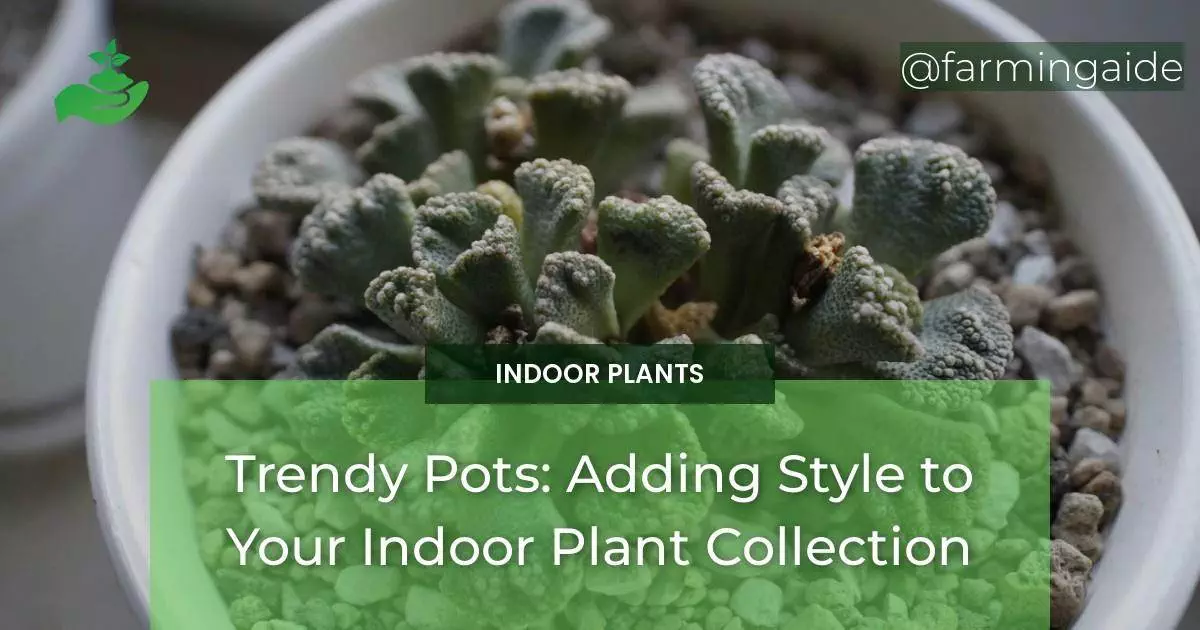 Trendy Pots: Adding Style to Your Indoor Plant Collection