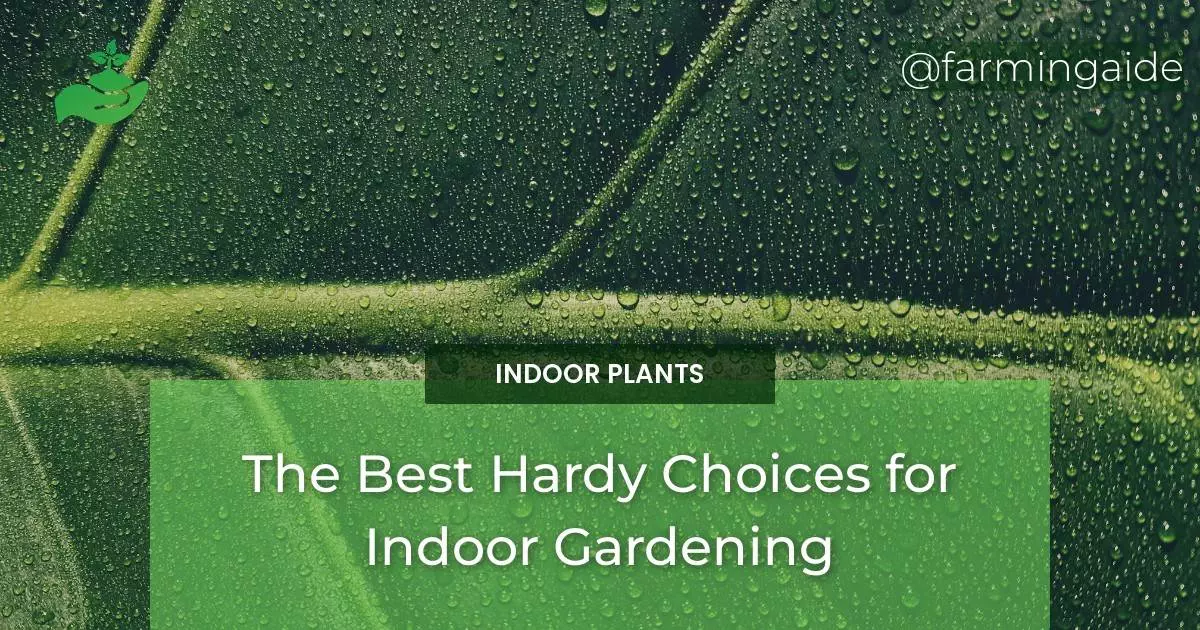 The Best Hardy Choices for Indoor Gardening