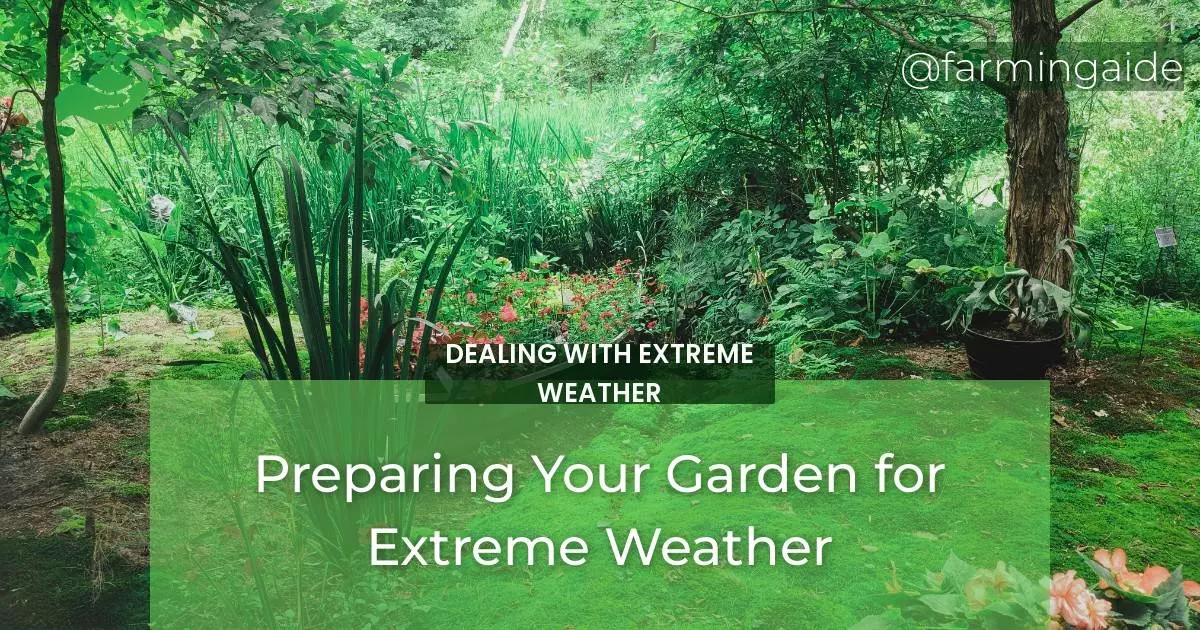 Preparing Your Garden for Extreme Weather