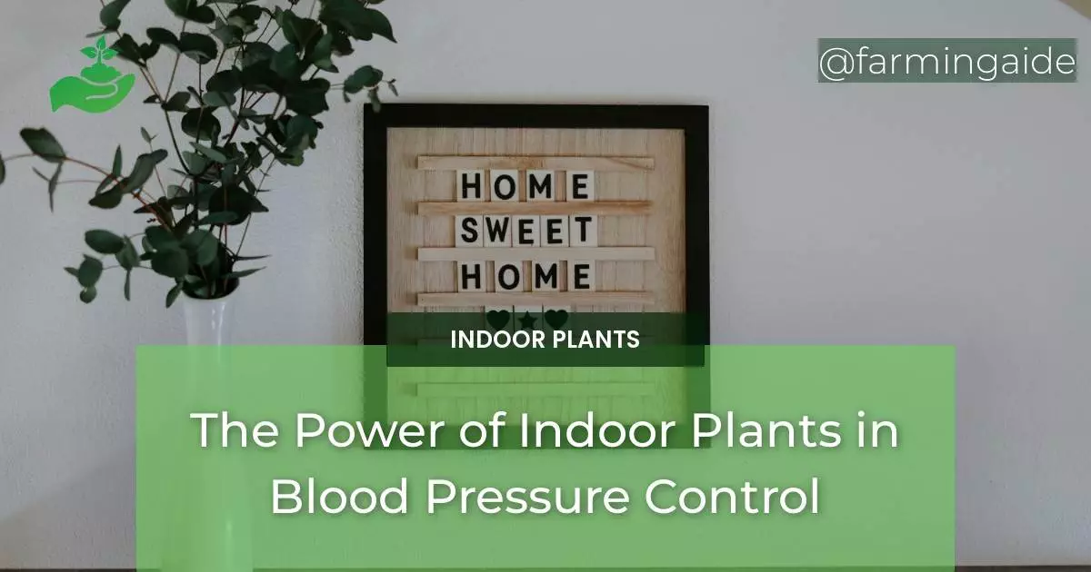 The Power of Indoor Plants in Blood Pressure Control