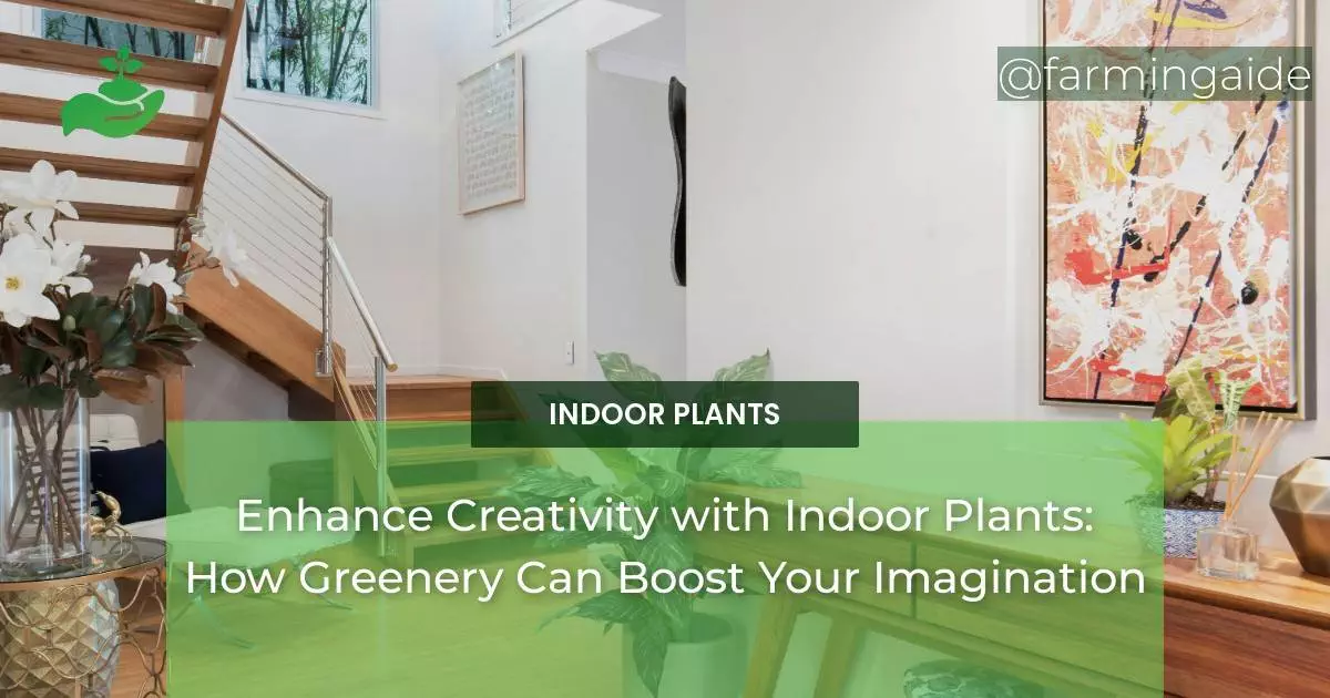 Enhance Creativity with Indoor Plants: How Greenery Can Boost Your Imagination