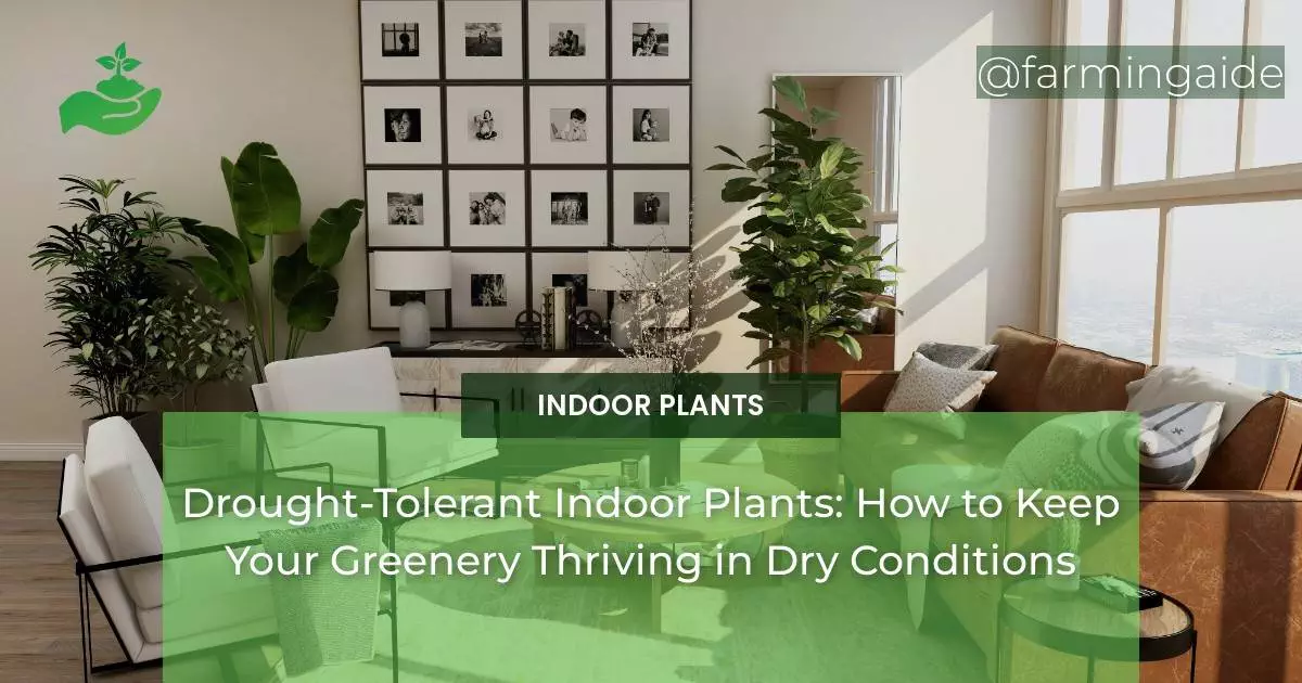 Drought-Tolerant Indoor Plants: How to Keep Your Greenery Thriving in Dry Conditions